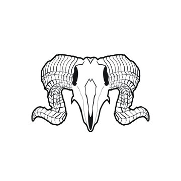 Vector skull of buffalo black and white