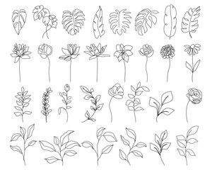 Continuous Line Drawing Hand Drawn Set Of Simple Flowers Black Sketch Isolated on White Background. Plants, Leaves, Flowers Hand Drawn Line Set. Minimalist Botanical Drawing. Vector EPS 10.