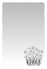 喪中はがき　水仙の花