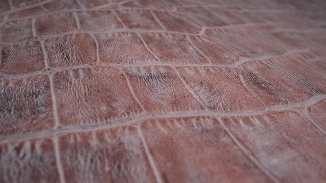 Animal Texture. Exotic Leather very close up. Natural pattern. Fashion and clothing industry, Bags, belts and shoes, Leather Upholstery Furniture