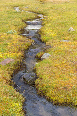Stream in a meadow in high country