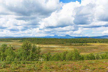Fototapeta na wymiar High country plateau in the wilderness with birch trees and mountains