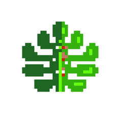Fototapeta premium Green leaf pixel art icon, eco plant logo. Isolated vector illustration. Game assets 8-bit sprite. Design for stickers, printables, web, prints, t-shirt, stickers, logo, mobile app. 