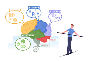 Tiny Male Character Balancing on Rope at Huge Human Brain Anatomy Separated on Colorful Parts Frontal, Temporal Lobes