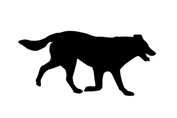 Black Profile of a running dog. Adult large dog of mixed breed with open mouth and tongue sticking out. Pet.