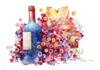 Obraz na płótnie Canvas Wine in a bottle and a bunch of grapes. Wine and grapes painted in watercolor. A bottle of blue glass and colorful grapes.