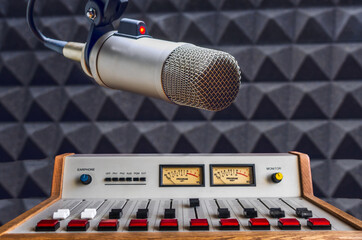 Professional microphone and sound mixer