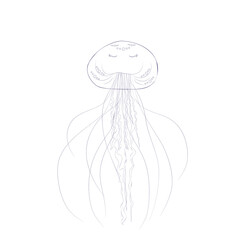 One jellyfish in the style of line art, isolated on a white background. Marine inhabitants of the underwater world