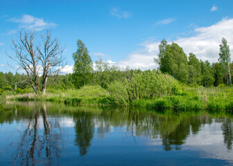 summer landscape from the river, cloud reflections in the water, green trees and grass on the river banks, Sedas River, Latvia