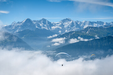 paraglider in front of the impressive Bernese Alps