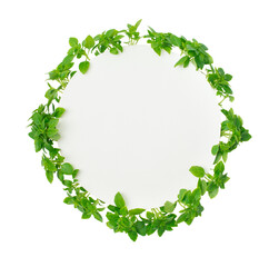 Fototapeta premium Fresh basil leaves around round paper with copy-space isolated.