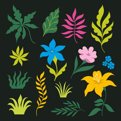 Set of tropical leaves. Vector Collection of leaves, flowers  and branches on black background