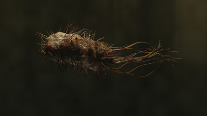 Bacterium 02
