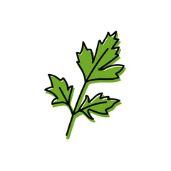 Parsley herbs. Vegetable sketch. Color simple icon. Hand drawn vector doodle illustration