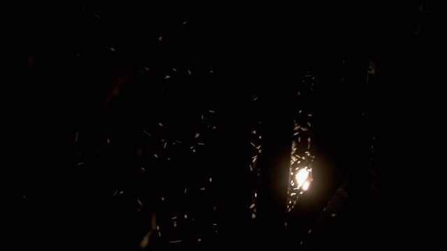 Flying Midges, Mosquitoes on Street Lamps at night time. A flock of midges circles around the lanterns under the illuminated bridge. Insects, moths, flying into the light at night. 4K. Slow motion.