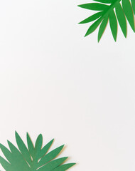 Fototapeta premium Summer background with colorful paper tropical leaves.