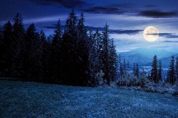spruce forest on the grassy hillside at night. beautiful nature scenery in mountains. summer landscape with dark sky above the distant ridge in full moon light. explore backcountry concept - Powered by Adobe
