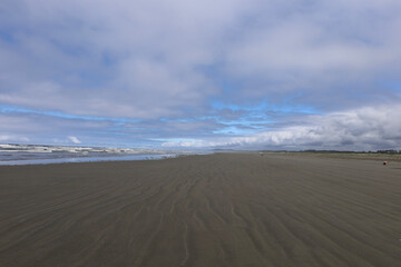 sand dunes on the beach