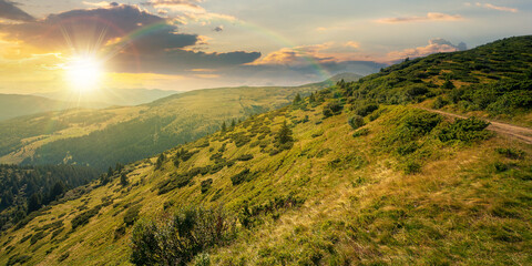 carpathian mountain landscape at sunset. beatiful scenery with green rolling hills in evening light...