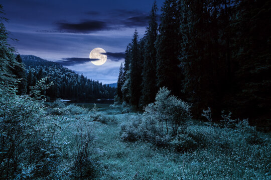 lake of synevyr national park at night. beautiful summer scenery of carpathian mountains in full moon light. popular travel destinations of ukraine. mysterious environment among coniferous forest