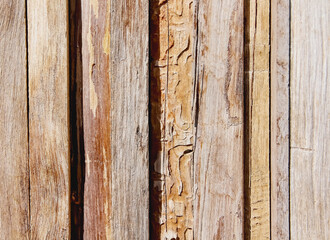 Old Wood texture with vertical patterns weathered background