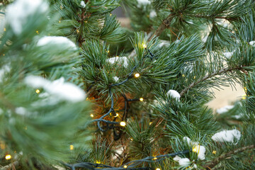 Christmas tree in a luminous garland. Christmas tree sprinkled with snow on the street. snow covered new year tree outdoors close up