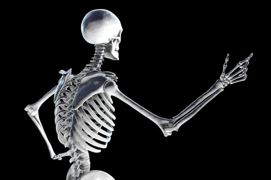 Human skeleton in a speaker pose, back view, conceptual 3D illustration