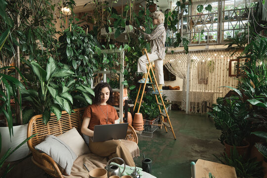 Young woman sitting on sofa and working on computer with florist standing on the ladder and caring about plants