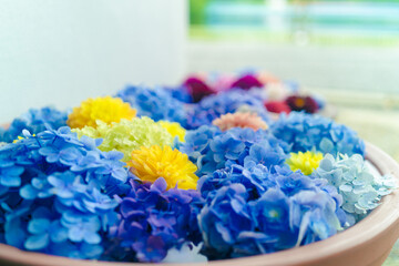 Obraz na płótnie Canvas blue and white hyacinths