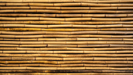 Bamboo tubes fence texture background