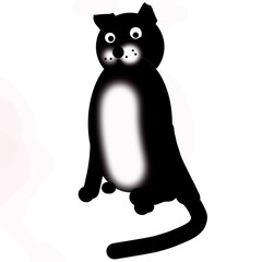 A painted black cat with a white belly and a surprised expression is depicted on a white background. For the design of articles about animals, an image for printing