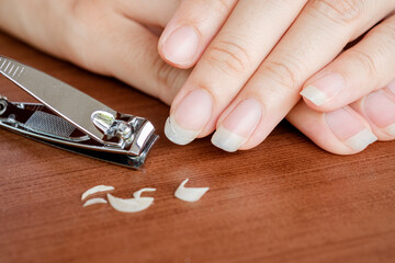 A long woman's fingernails are ready to be trimmed with nail clippers. The concept of care, clean fingernails.