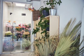 Gorgeous fresh-cut flowers placed in a cold room