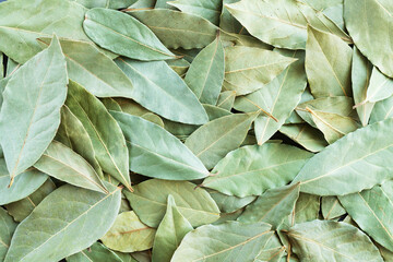 Green dried bay leaves or laurel background