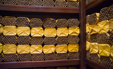 packs of freshly rolled cigars in storage