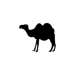 camel icon vector sign symbol