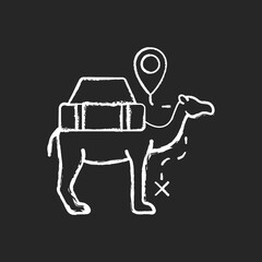 Camel caravan chalk white icon on dark background. Travel in Egypt. Mammal for safari transportation. Explore desert and dune. Tourism industry. Isolated vector chalkboard illustration on black