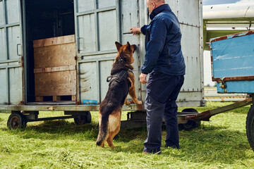 Security officer and drug detection dog checking cargo at aerodrome - obrazy, fototapety, plakaty