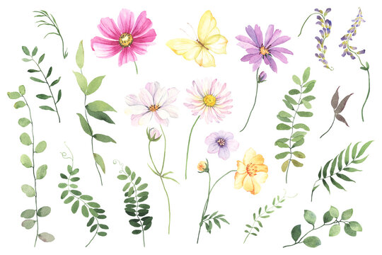 Set of wildflowers, wild plants, green leaves and flying butterfly yellow color. Watercolor floral collection design elements isolated on white background for invitation, greeting cards or textile.