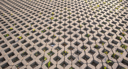 Fototapeta premium Background from paving slabs with grass sprouting through them. Stone tiles on the sidewalk. Footpath. Textured patterned background. Eco-friendly covering - concrete lawn grating.