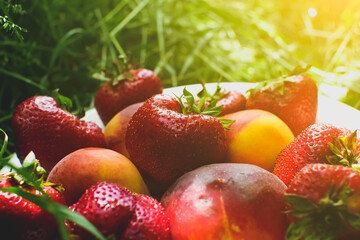 Strawberries and peaches on a plate on the green grass. Delicious and fresh summer fruits. Healthy vegetarian food with vitamins.