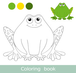 Cartoon frog coloring book page with colorful template. Vector animal characters  isolated on white. Frog isolated contour. For coloring book page. Cartoon kids animals coloring book.
