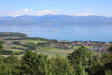 Obraz premium Vue du lac Léman et du village de Perroy en Suisse