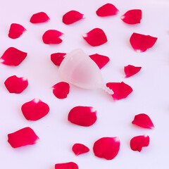 Menstrual cup in a heart-shaped box with petals representing blood.