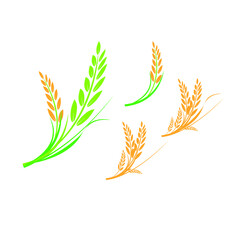 Collection of Vector logo design and elements of organic wheat grain, wheat ears, wheat seed, or wheat rye, prosperity symbol,Vecter illustration EPS 10.