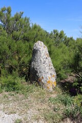 Menhir in the forest in Brittany 