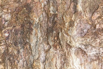 Granite stone texture. Stone texture on brown marble tone texture and background seamless