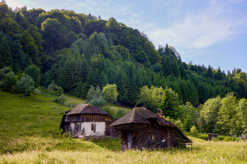 Fototapeta na wymiar beautiful landscape with rural mountain area in Rucar Romania