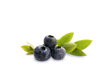 Blueberry isolated on a white background with green leaves. Blueberries with leaves on white. Full depth of field. Isolate