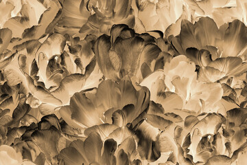 Vintage seamless pattern. Blooming garden flowers tulips. Black and gold.